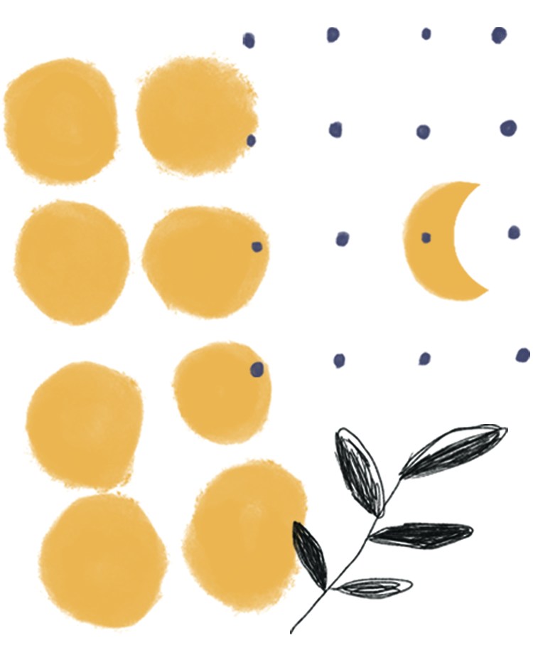 illustration info histoire méthode sophrologie